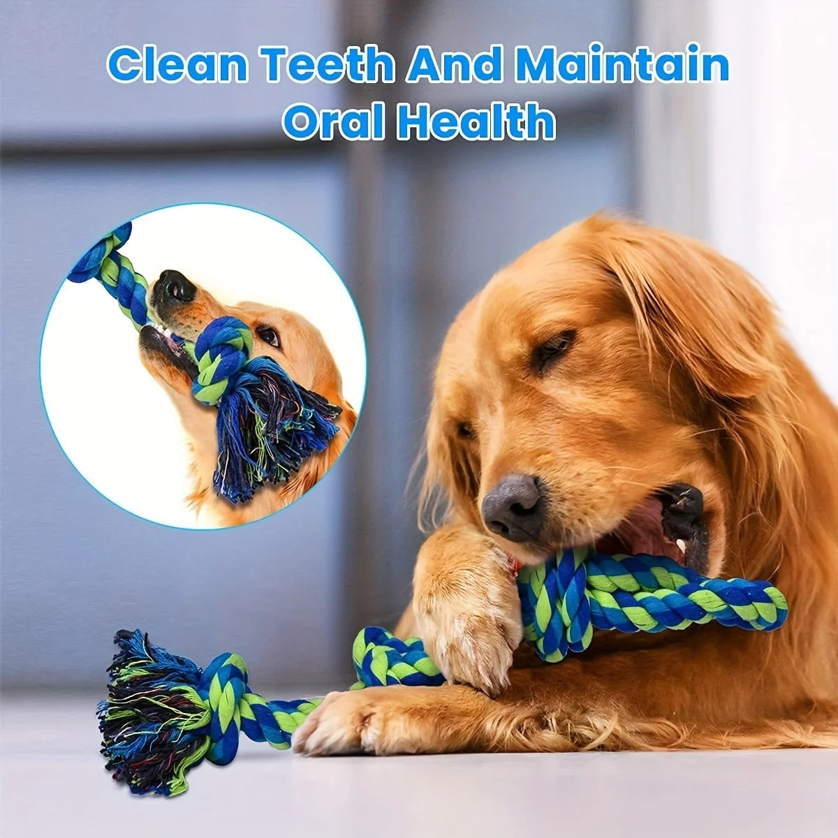 Indestructible Knot Dog Toy