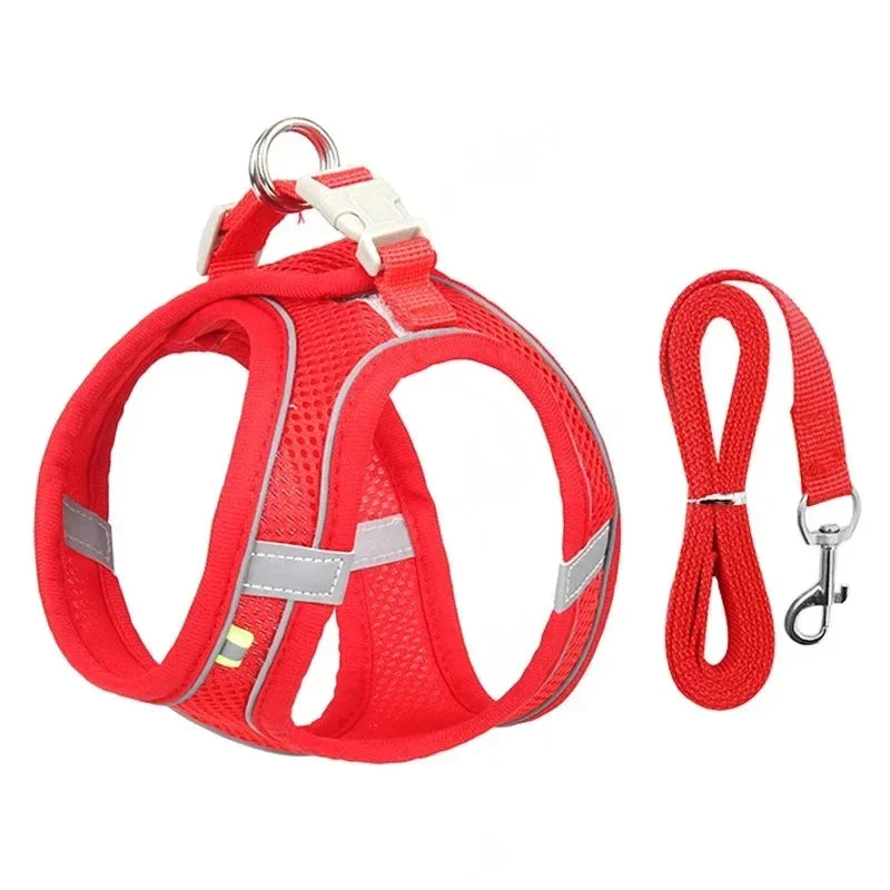 Adjustable Pet Leash & Collar