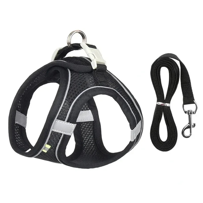 Adjustable Pet Leash & Collar