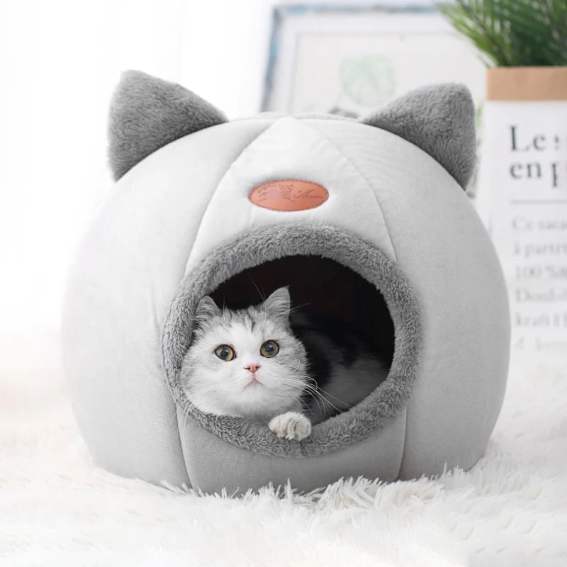 Comfortable bed for cat in winter