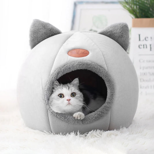 Comfortable bed for cat in winter
