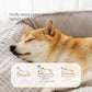 Warm Pet Bed for Cats and Small Dogs