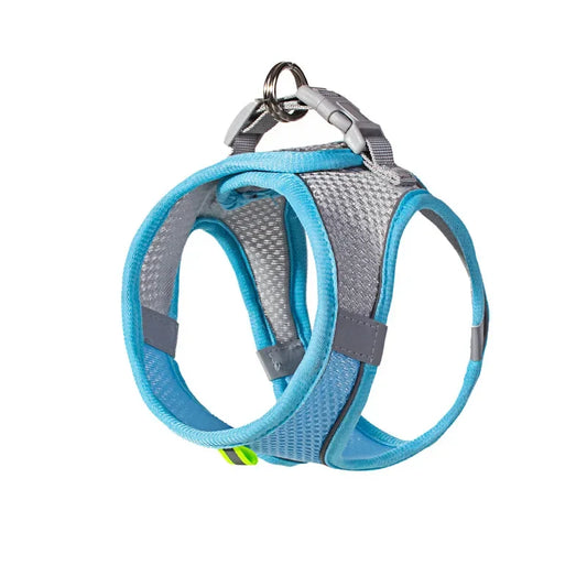 Adjustable Pet Leash & Collar