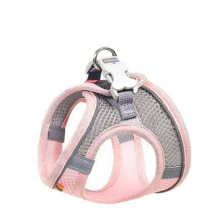 Adjustable Pet Leash & Collar