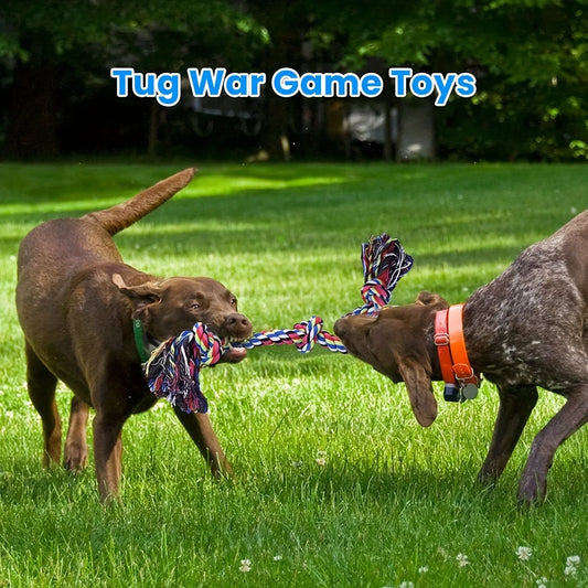 Indestructible Knot Dog Toy